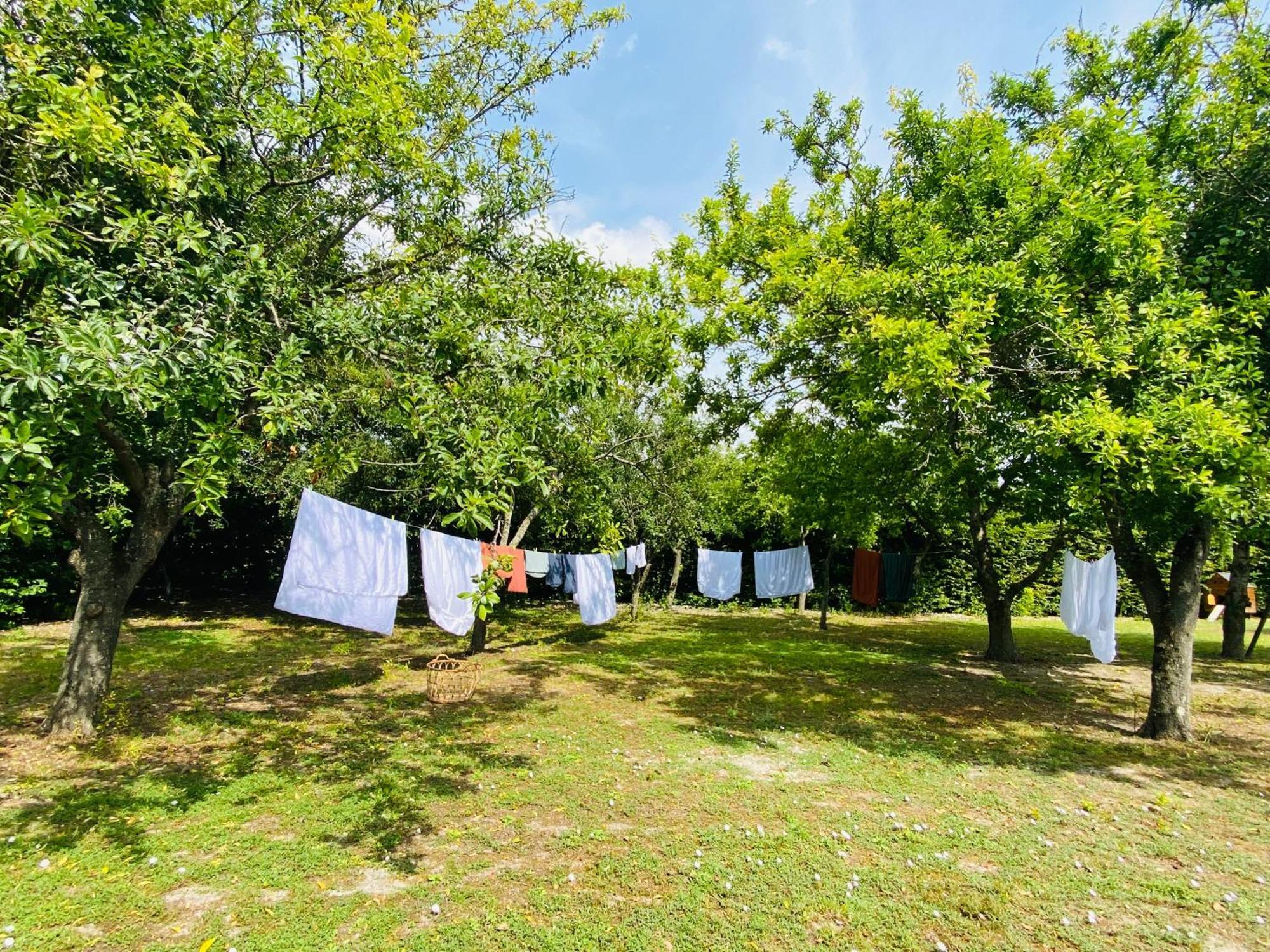 L'écrin de Verdure Ligré Esterno foto
