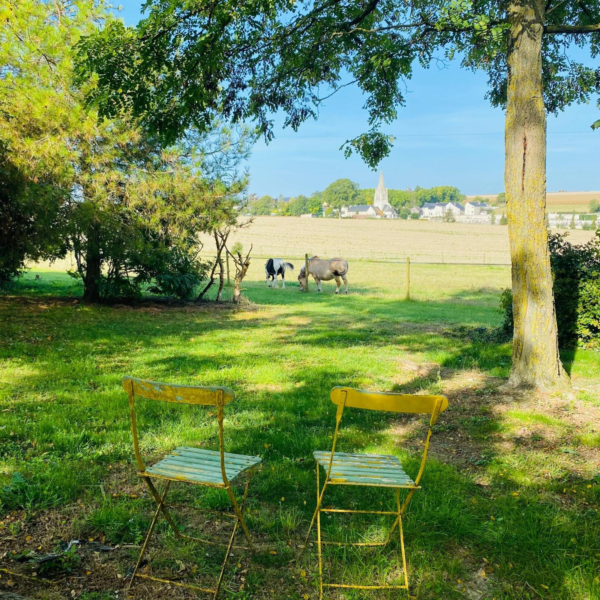 L'écrin de Verdure Ligré Esterno foto