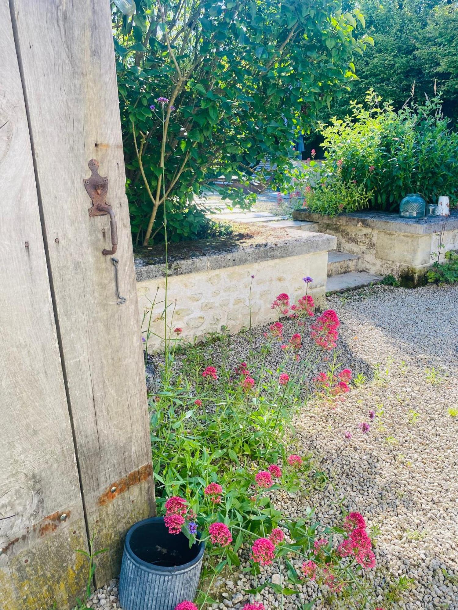 L'écrin de Verdure Ligré Esterno foto