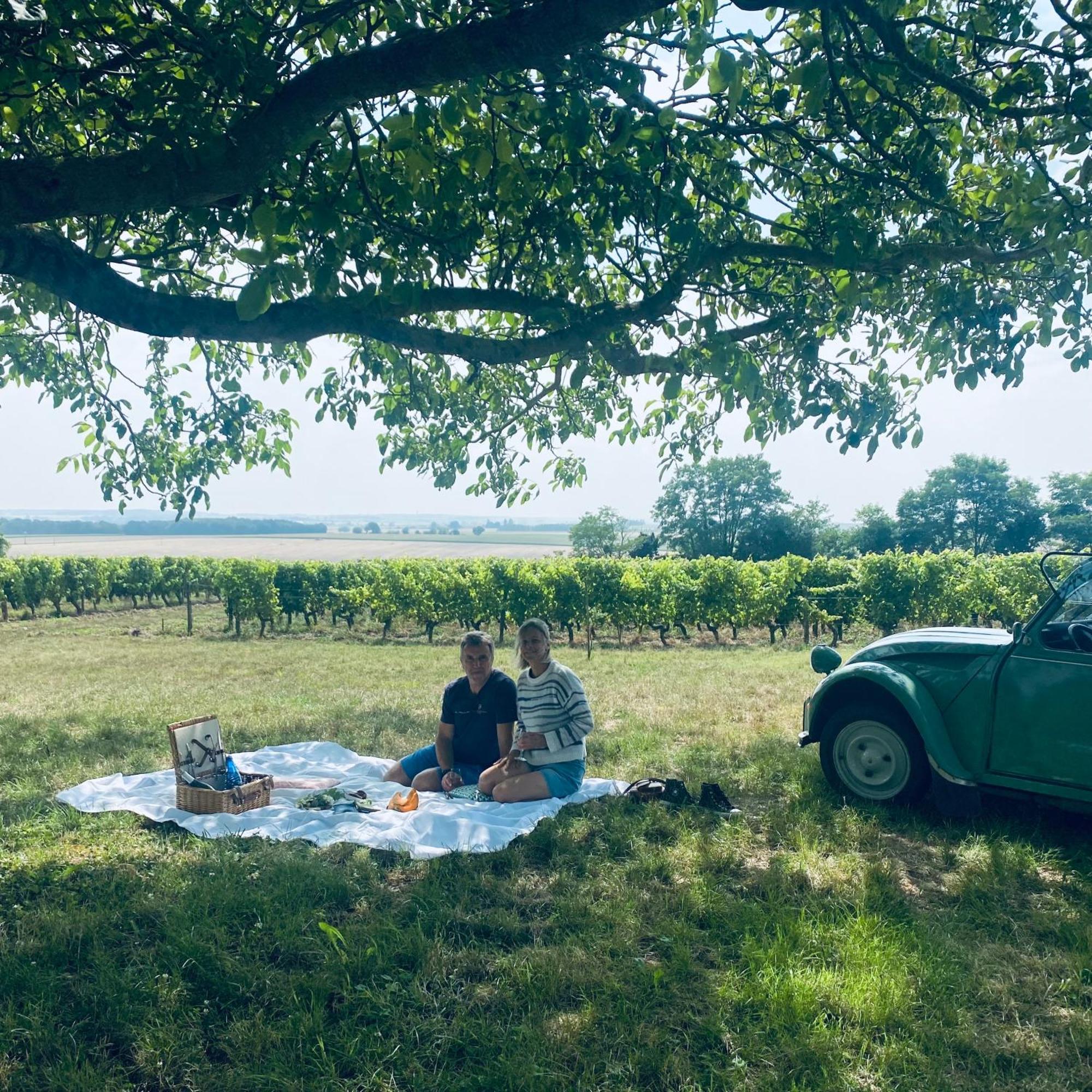 L'écrin de Verdure Ligré Esterno foto
